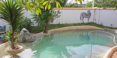 Green Elephant Backpackers Cape Town Exterior photo